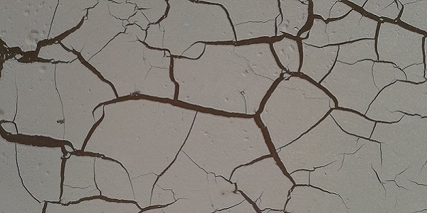Definizione di biourbanistica